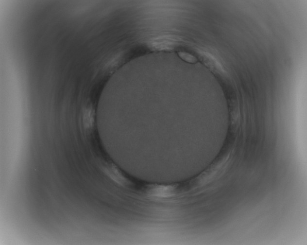 X0000111520081200907211232