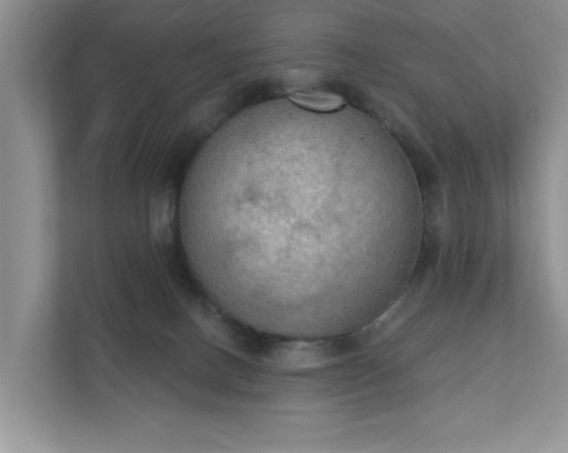 X0000111520082200907211233