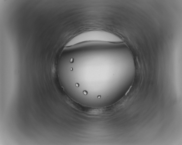 X0000111520084200907211233