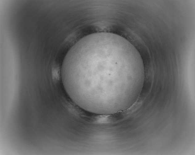 X0000111520090200907211233