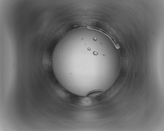 X0000111520091200907211233