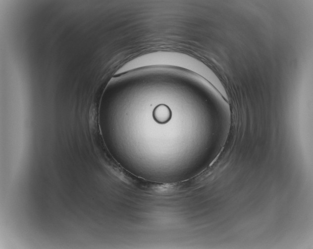 X0000111520092200907211233