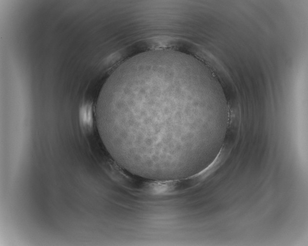 X0000111520094200907211233