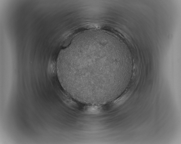 X0000111520096200907211233