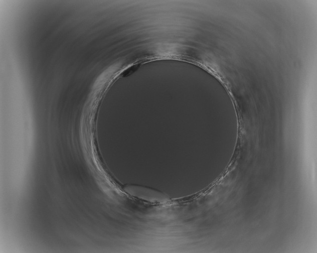 X0000111520097200907211232