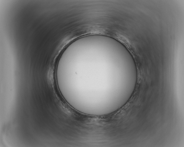 X0000111520098200907211232