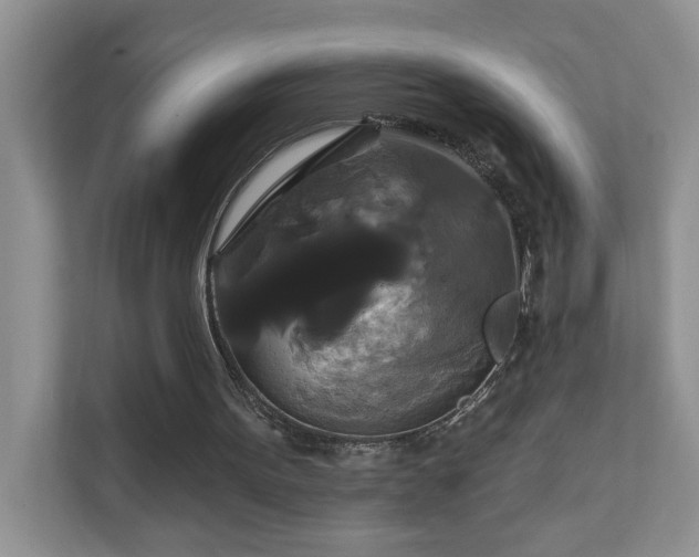 X0000111520099200907211232