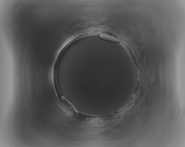 X0000111520100200907211232