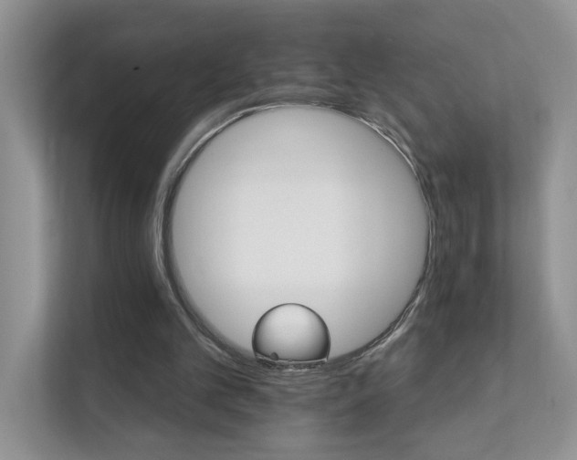 X0000111520101200907211232
