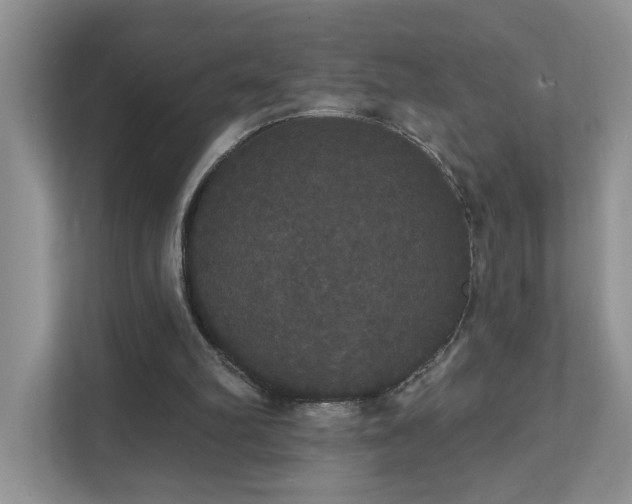 X0000111520102200907211232