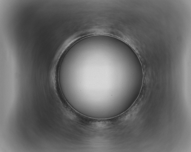 X0000111520103200907211232