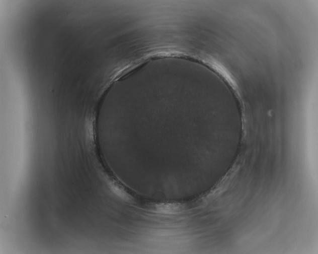 X0000111520105200907211232