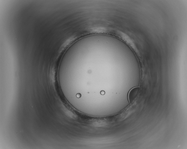 X0000111520106200907211232