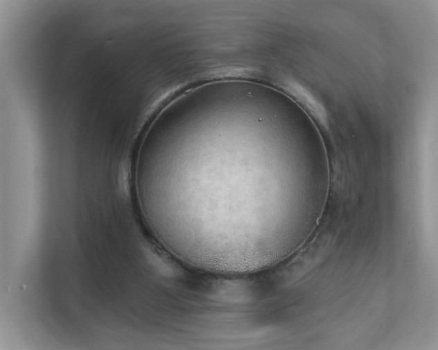 X0000111520107200907211232