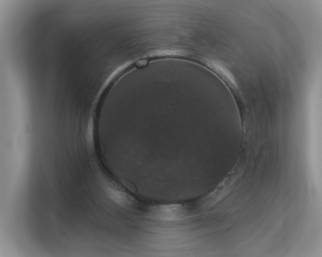 X0000111520108200907211232