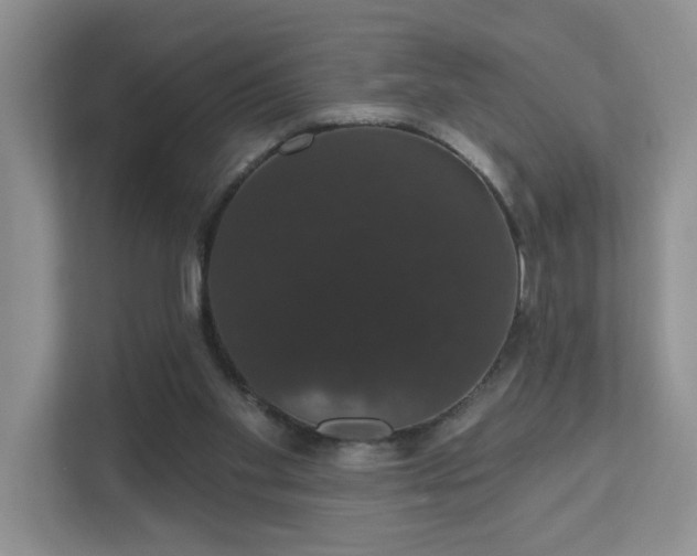 X0000111520109200907211232