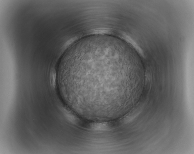 X0000111520110200907211232