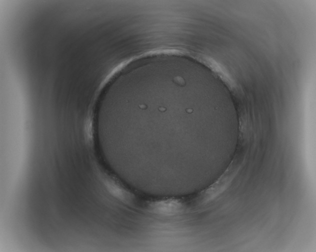 X0000111520112200907211232