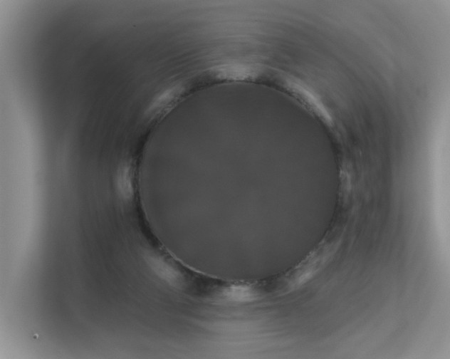 X0000111520114200907211232