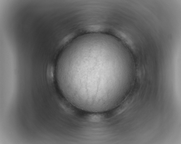 X0000111520115200907211232
