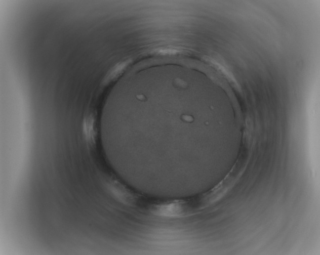 X0000111520116200907211232