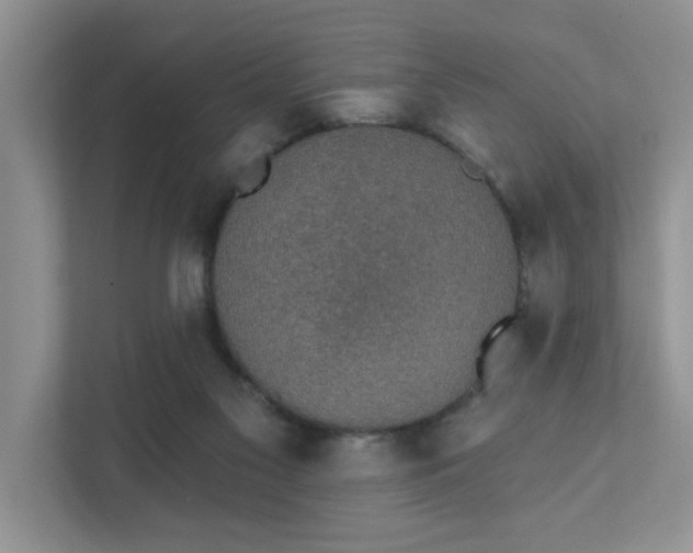X0000111520117200907211232