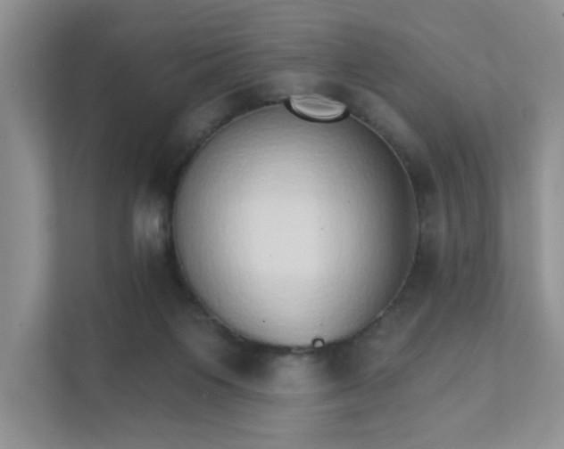 X0000111520119200907211232