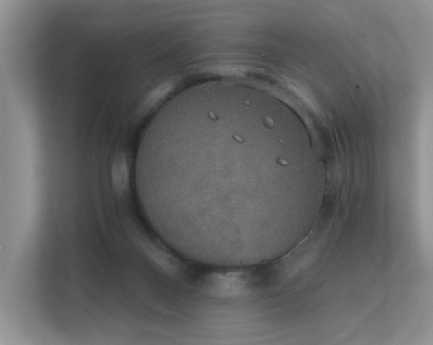 X0000111520120200907211232