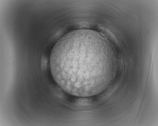 X0000111520123200907211232
