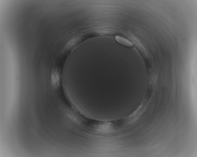 X0000111520124200907211232