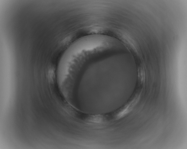 X0000111520127200907211232