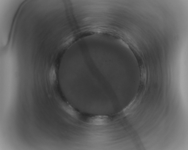 X0000111520128200907211232
