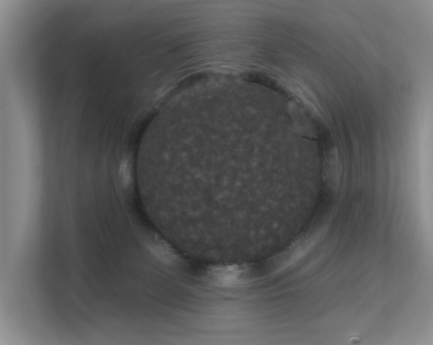 X0000111520131200907211232