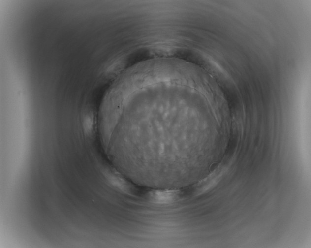 X0000111520134200907211232