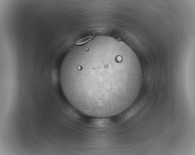 X0000111520135200907211232