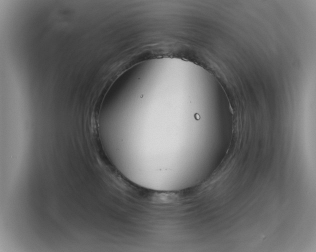 X0000111520137200907211232