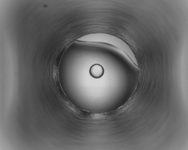 X0000111520141200907211231