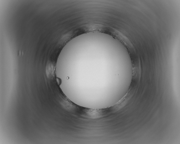 X0000111520142200907211231