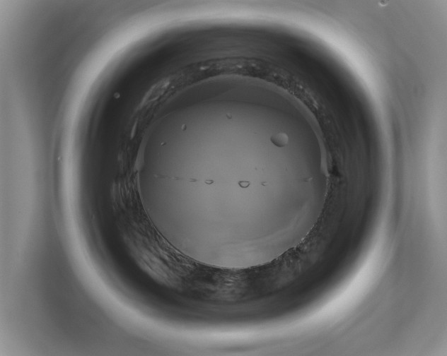 X0000111520143200907211231