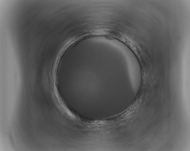 X0000111520145200907211231