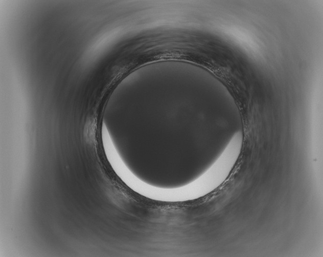 X0000111520146200907211231