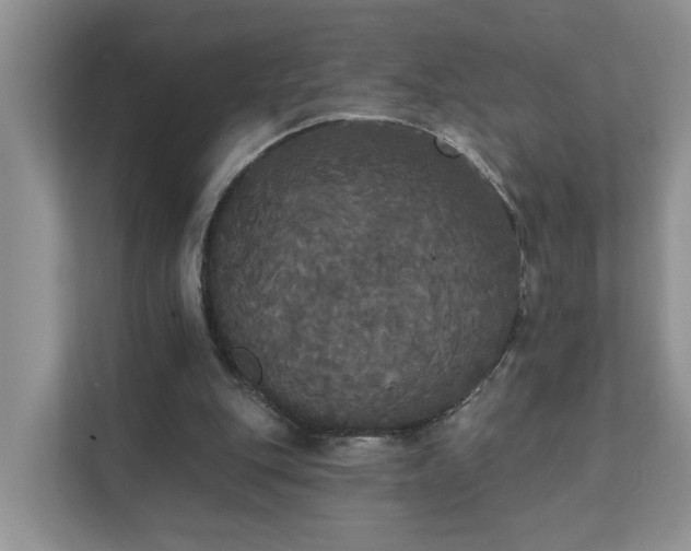 X0000111520151200907211231