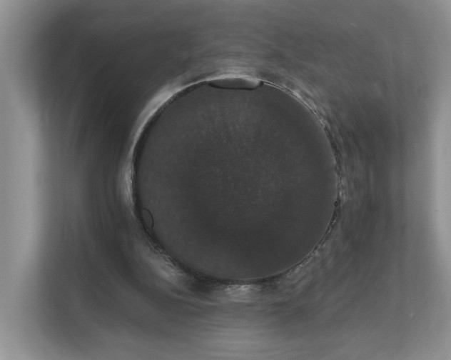 X0000111520152200907211231
