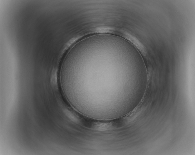 X0000111520155200907211231