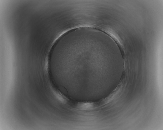 X0000111520156200907211231