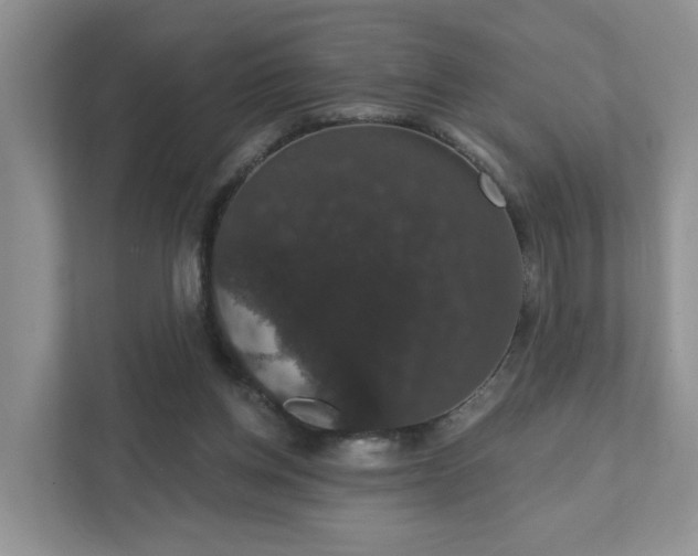 X0000111520158200907211231