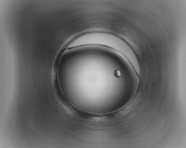 X0000111520160200907211231