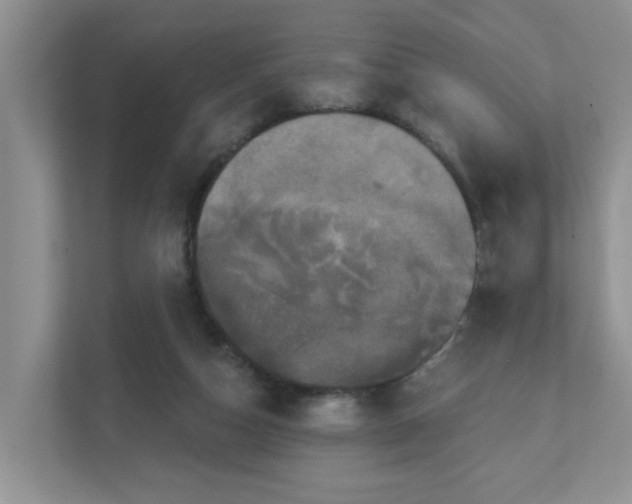 X0000111520162200907211231