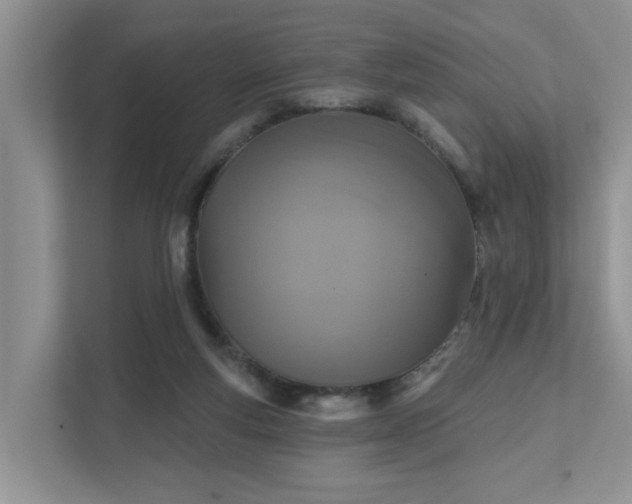 X0000111520163200907211231