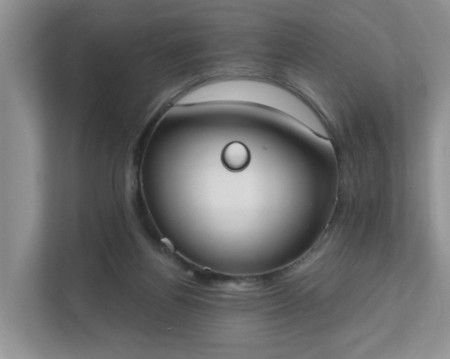 X0000111520164200907211231